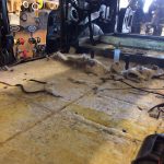 15293390_1153343358054208_1561067533_o